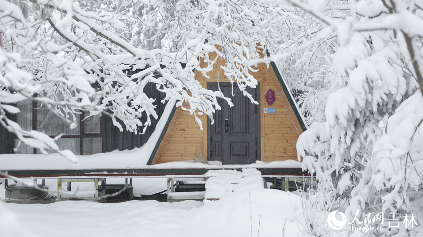 隨著一場大雪降臨，老里克湖松林被潔白的雪凇裝點得如詩如畫。人民網(wǎng)記者 李洋攝