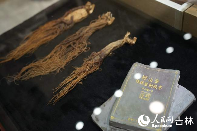 長白山雪街展示的人參產品。人民網記者 李洋攝