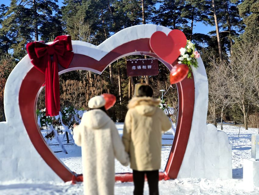 戀人們紛紛走進1314米長的松針小徑。人民網(wǎng)記者 關思聰攝