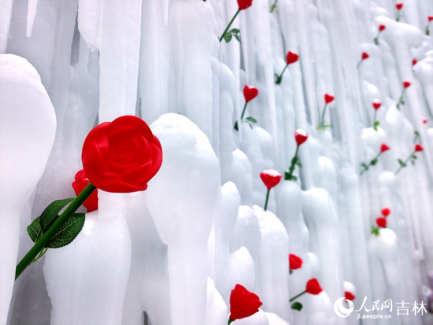 浪漫冰心島。人民網記者 關思聰攝