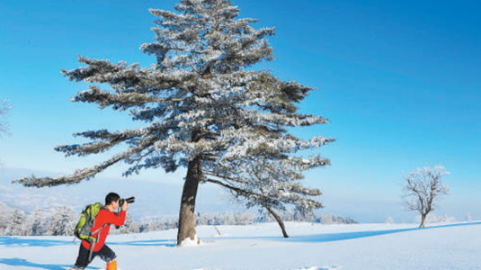 常年奔赴野外 建立植物圖庫（講述·一輩子一件事）