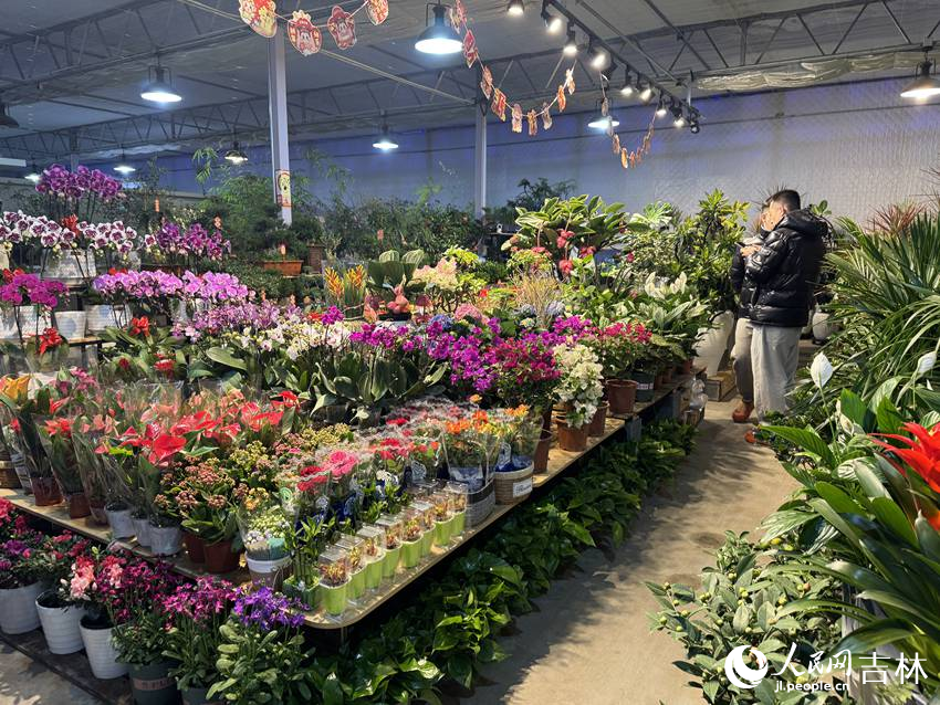 青怡坊植物倉(cāng)。人民網(wǎng)記者 李思玥攝