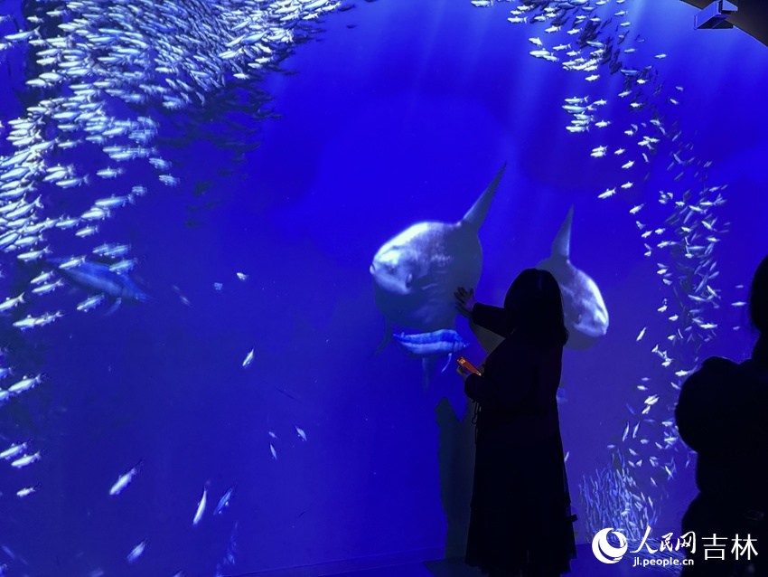 時空旅程搭建美妙奇幻的場景激發孩子們想象力與創造力。人民網記者 李思玥攝