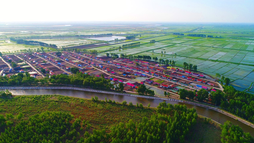 嫩江畔的嘎什根鄉十家子村綠意盎然,儼然一幅水鄉景色。