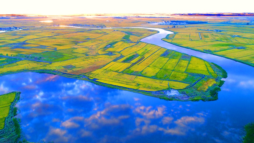 優質的嫩江水源是鎮賚水稻產業的“綠色血液”。