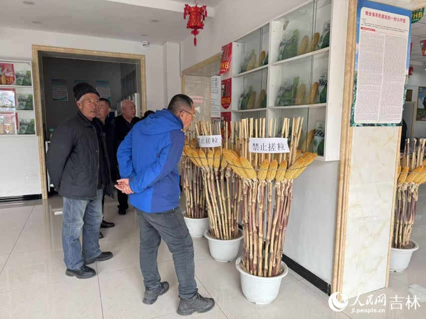 種子經(jīng)銷(xiāo)店內(nèi)，前來(lái)購(gòu)買(mǎi)種子的農(nóng)民認(rèn)真挑選著。人民網(wǎng)記者 李思玥