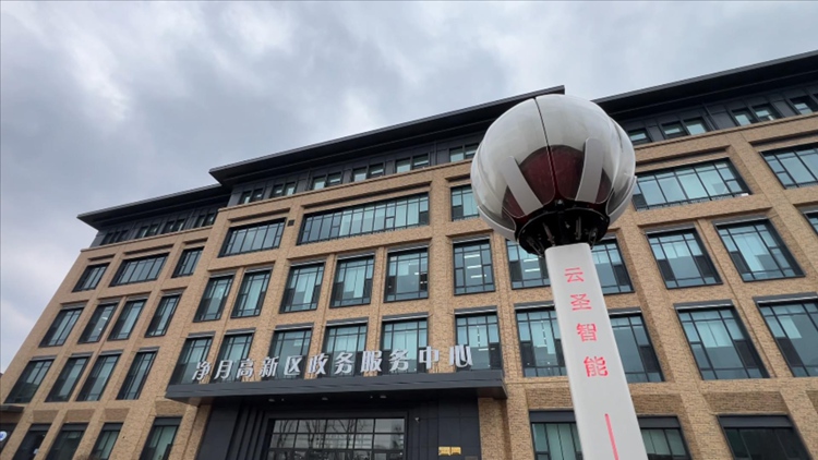 凈月高新區政務服務中心門前的“寶蓮燈”機塔