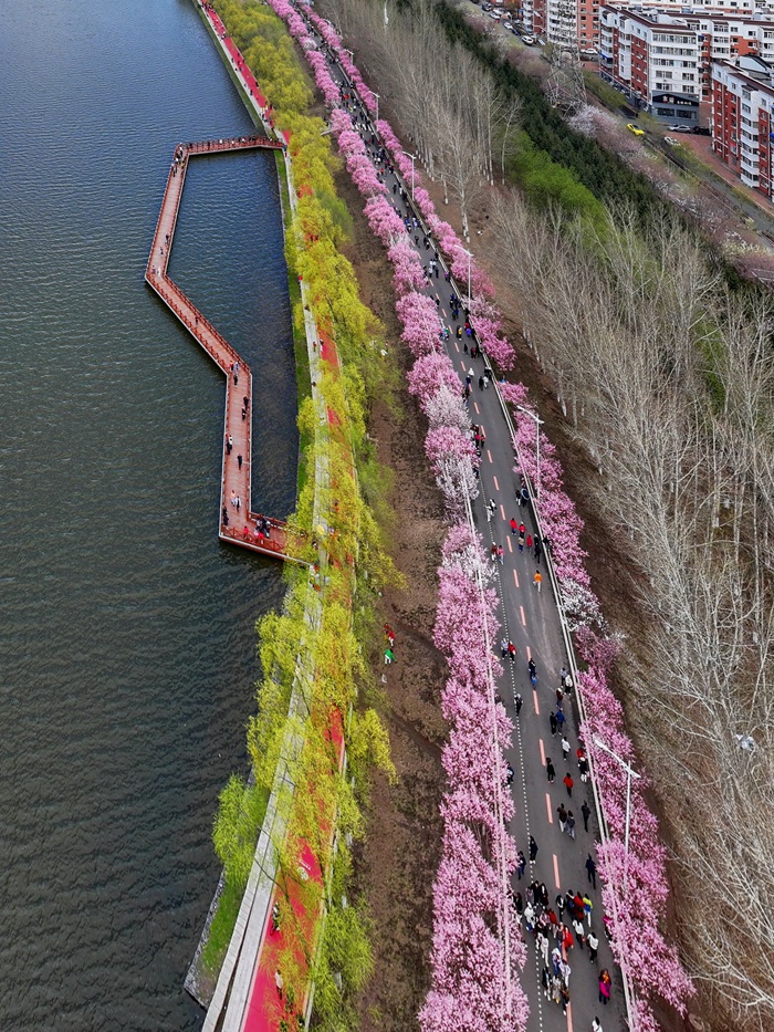 長春伊通河畔的花海長廊。李向東 攝