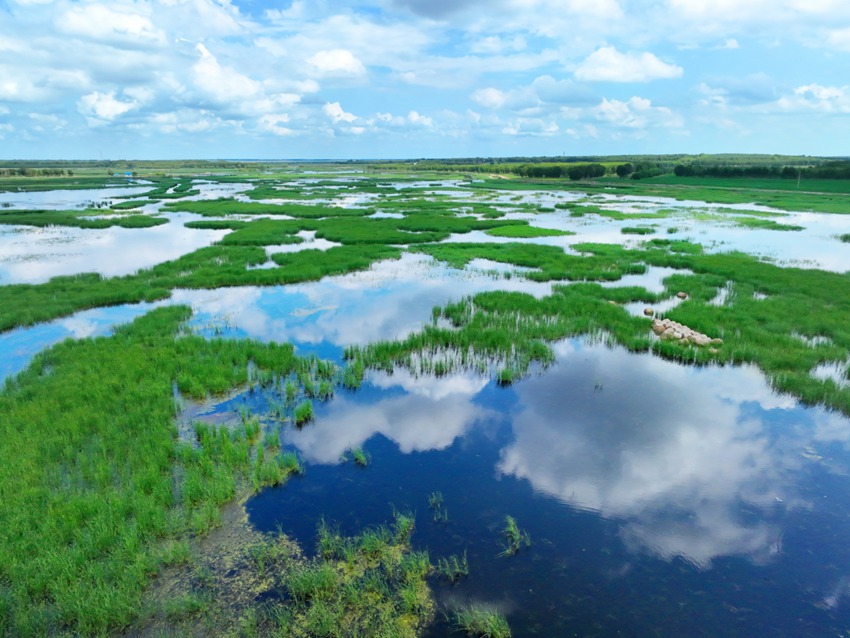 鎮賚莫莫格濕地宛如“天空之境”。鎮賚縣委宣傳部供圖（資料圖片）
