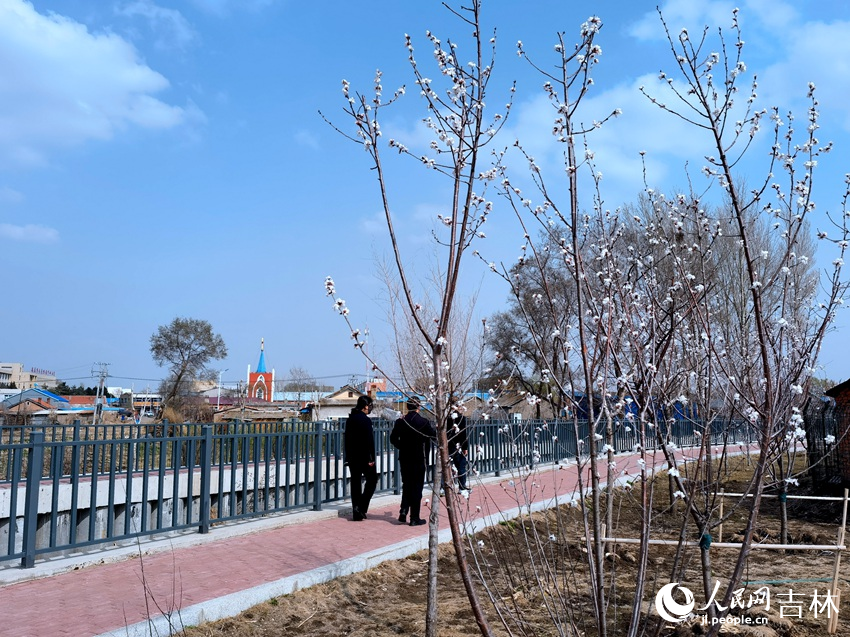 河岸邊的小微綠地春花爛漫。人民網記者 馬俊華攝