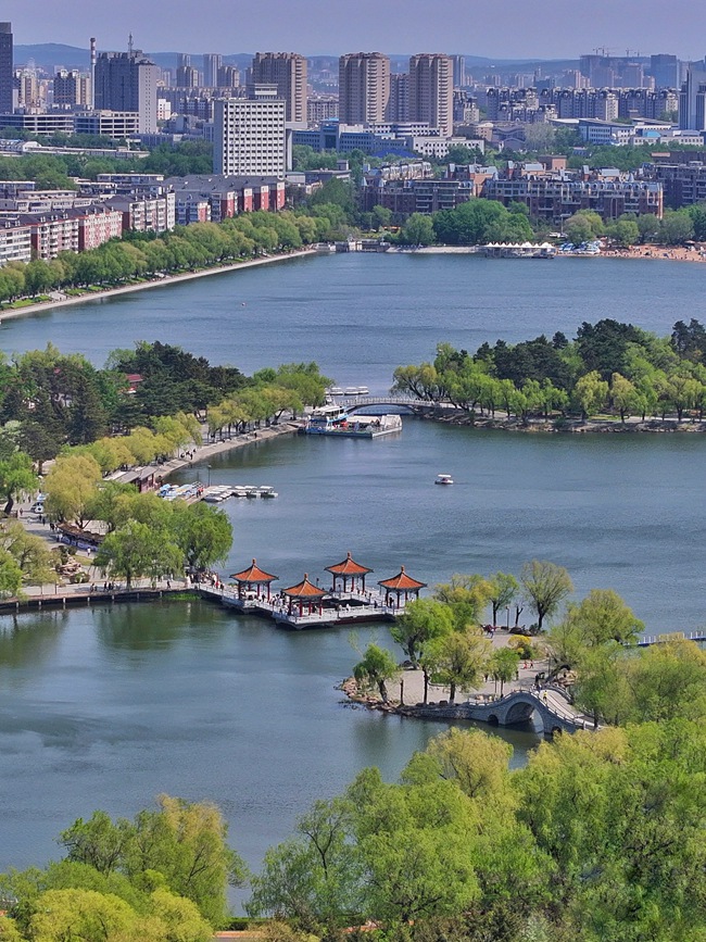 初夏時節，長春南湖公園綠意盎然，美景如畫。人民網記者 李洋攝