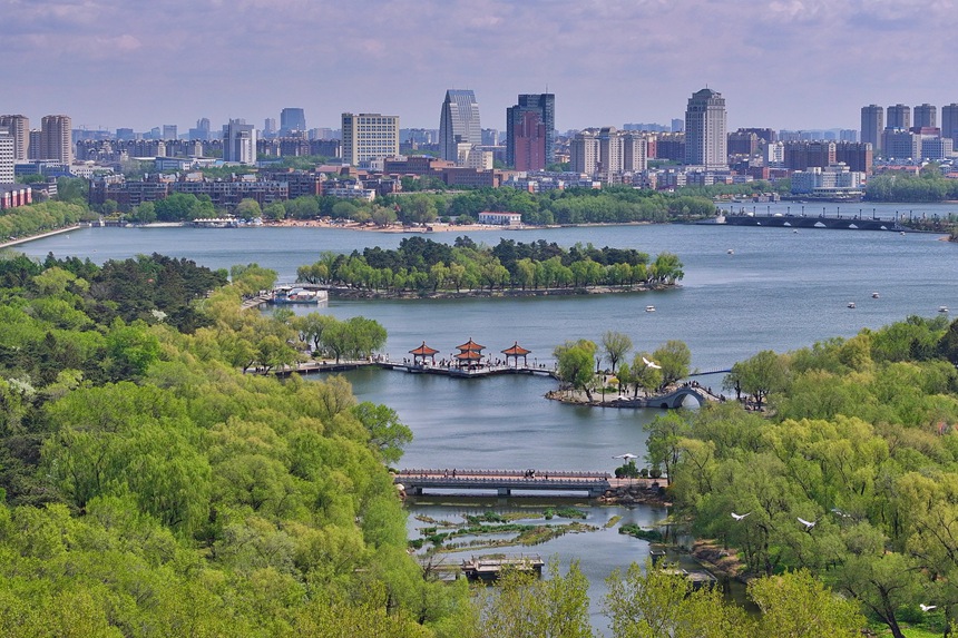 初夏時節，長春南湖公園綠意盎然，美景如畫。人民網記者 李洋攝