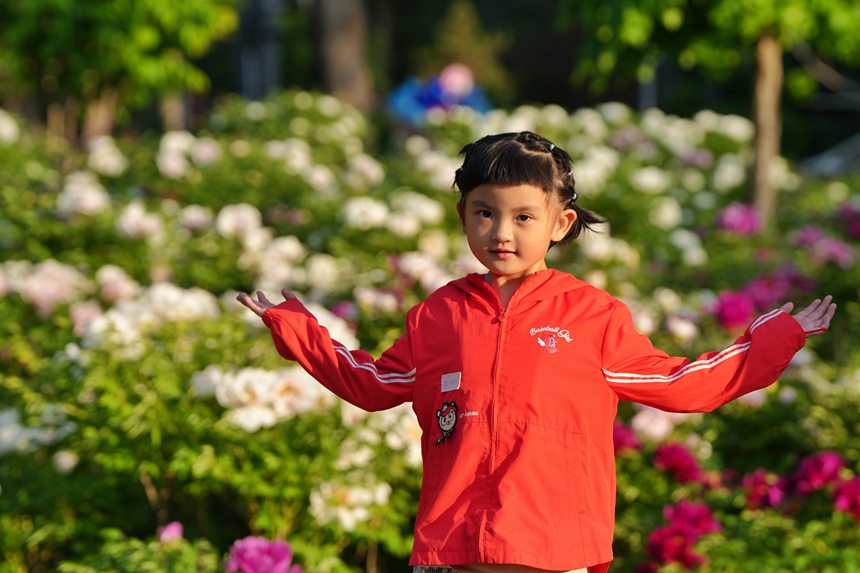 吉林長春：牡丹盛放香溢遠【11】