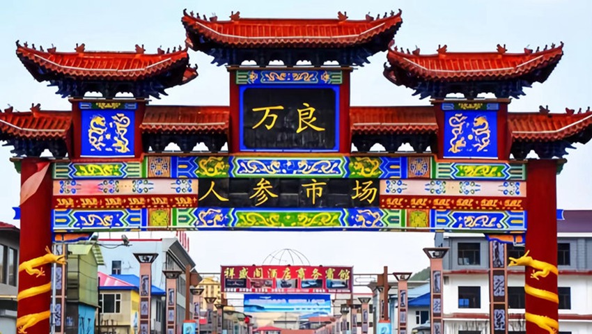 萬(wàn)良鎮(zhèn)的長(zhǎng)白山人參市場(chǎng)。撫松縣委宣傳部供圖