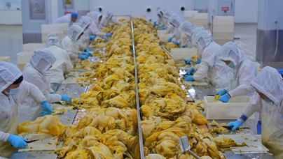 行進(jìn)中國(guó)｜東北酸菜里的幸福味道在長(zhǎng)春九臺(tái)經(jīng)濟(jì)開(kāi)發(fā)區(qū)朱老六食品股份有限公司酸菜生產(chǎn)車間，一缸缸酸菜散發(fā)出濃郁的香味，清冽的漿水透亮醇厚。