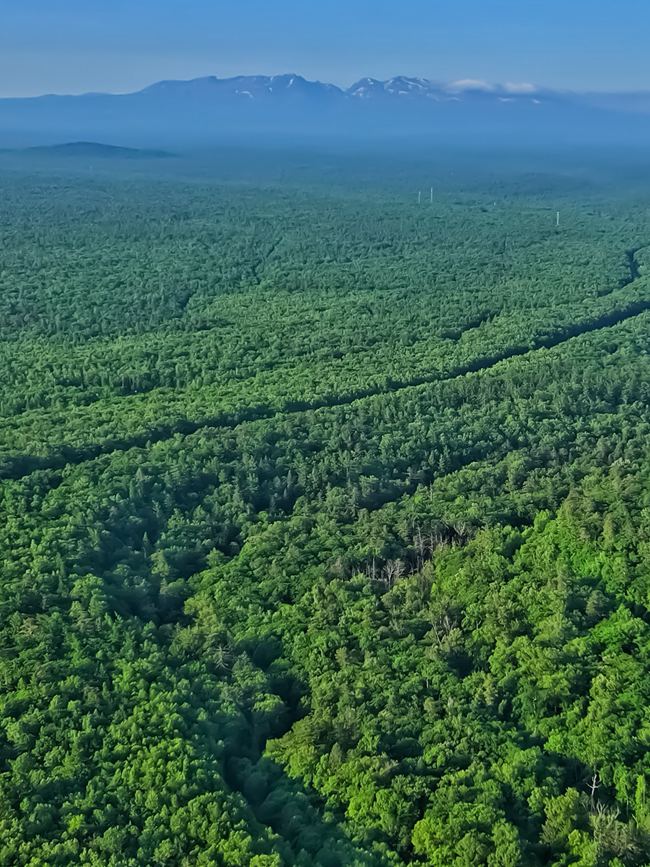 遠眺長白山。人民網記者 李洋攝