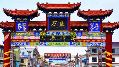 行進(jìn)中國(guó)｜這里，“參”機(jī)無(wú)限  撫松縣，地處長(zhǎng)白山核心腹地，森林覆蓋率達(dá)到87.6%，優(yōu)越的地理位置和生態(tài)環(huán)境，孕育了撫松縣高品質(zhì)人參。