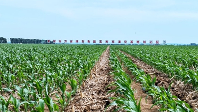 行進(jìn)中國(guó) | 黑土地的“長(zhǎng)期主義”“土能生萬(wàn)物，地能產(chǎn)黃金?！?月18日，人民網(wǎng)“行進(jìn)中國(guó)”吉林調(diào)研采訪團(tuán)走進(jìn)吉林省四平市梨樹(shù)縣，探訪關(guān)于黑土地的“長(zhǎng)期主義”。