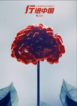 通化市查看詳情100秒認(rèn)識(shí)百年參在長(zhǎng)白山原始森林中，野山參以葉片為刻度書寫生命年輪。每一片復(fù)葉都是自然鐫刻的時(shí)光印記，見(jiàn)證著“百草之王”的百年傳奇。