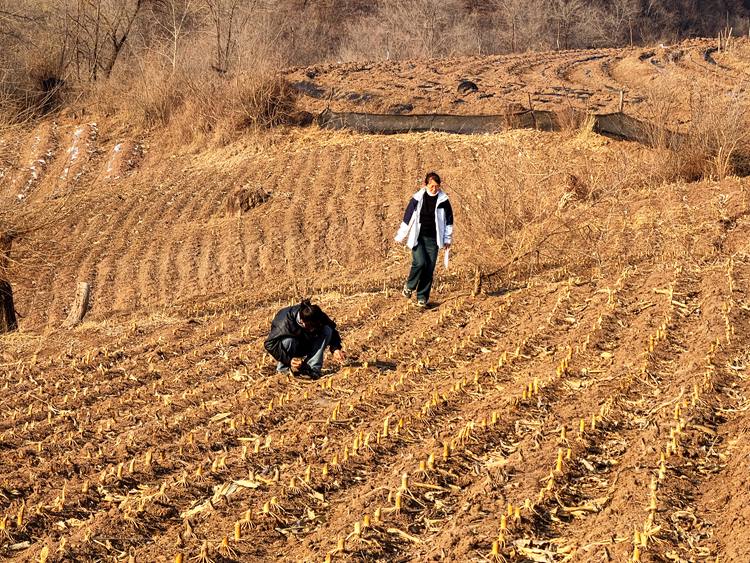 普查隊員采集文物標本。