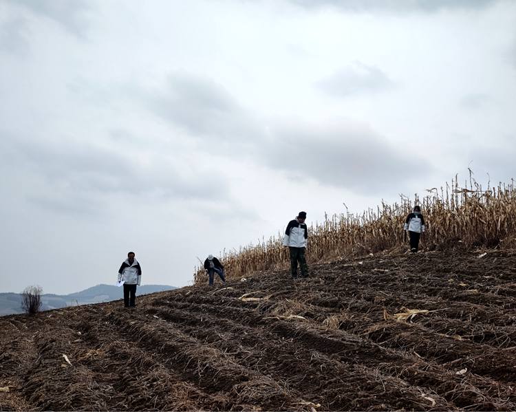 靖宇縣四普隊員保持間距實地采集標本。