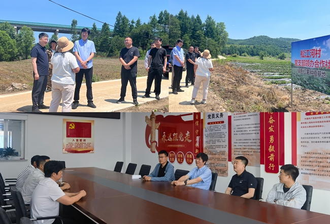 張弘一行在鄉鎮實地調研。