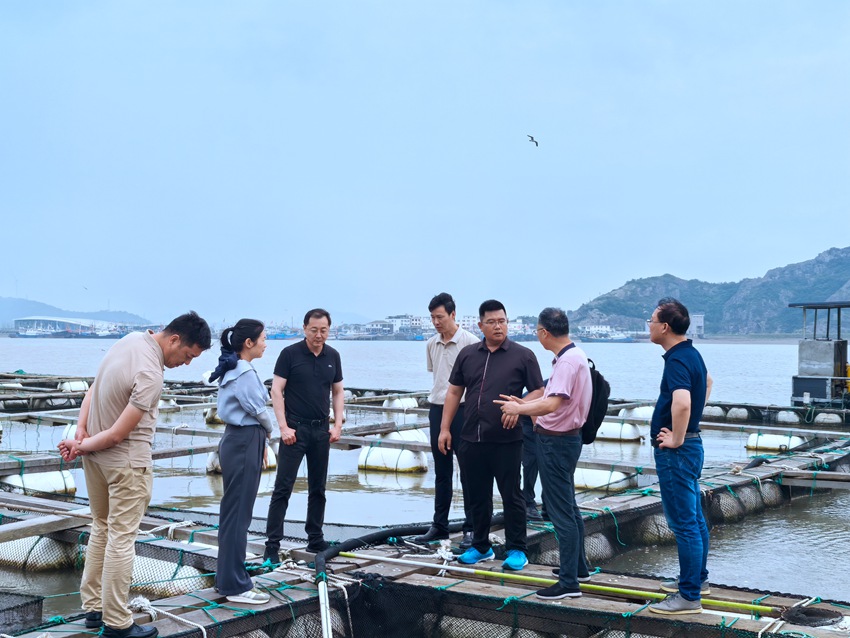 “大黃魚錐體蟲病綠色防控技術研究與示范”項目順利通過專家組階段性驗收