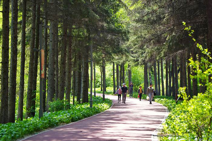 長春南湖公園。人民網記者 李洋攝