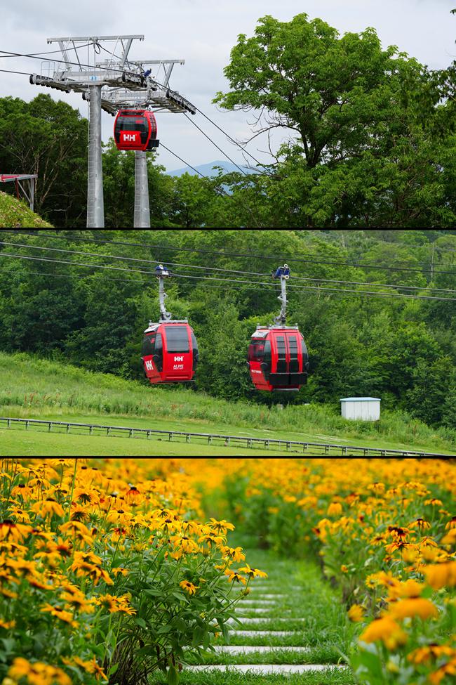 吉林北大湖滑雪度假區。人民網記者 李洋攝