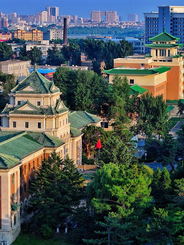 長春新民大街。人民網記者 李洋攝