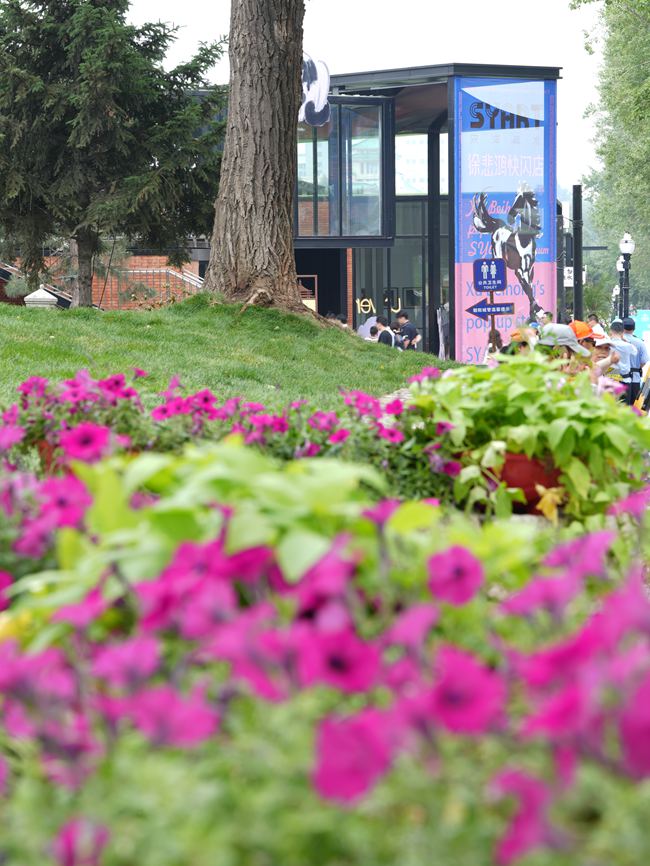 新民大街街頭的新潮店鋪。人民網記者 李洋攝