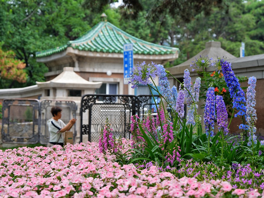 游客在街區的口袋公園拍照留念。人民網記者 李洋攝