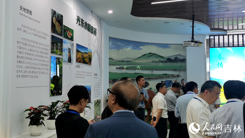 光東村稻米展覽館。人民網記者 王帝元攝