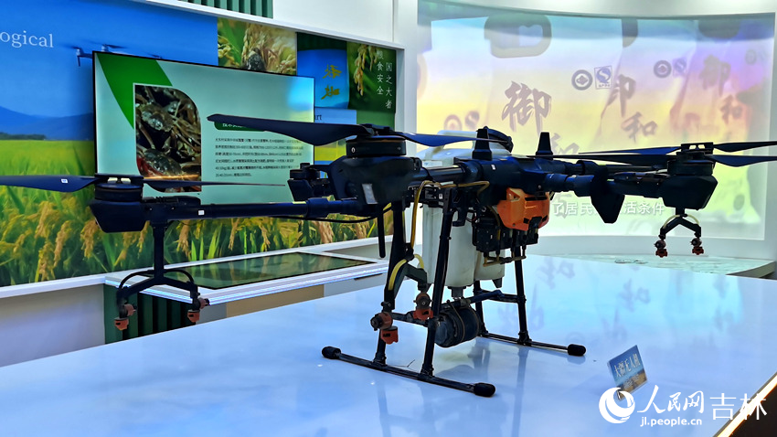 光東村稻米展覽館。人民網記者 王帝元攝