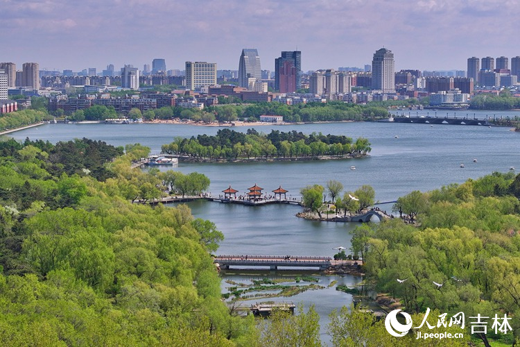 夏日長春,美景如畫。人民網記者 李洋攝