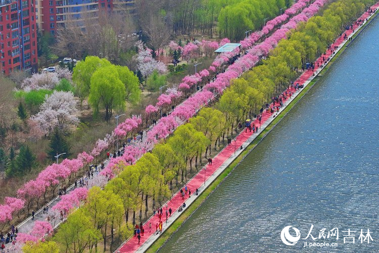 長春伊通河美景如畫。人民網記者 李洋攝