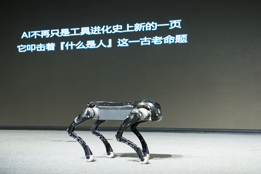 現場展示機器狗自編舞蹈。人民網記者 李思玥攝