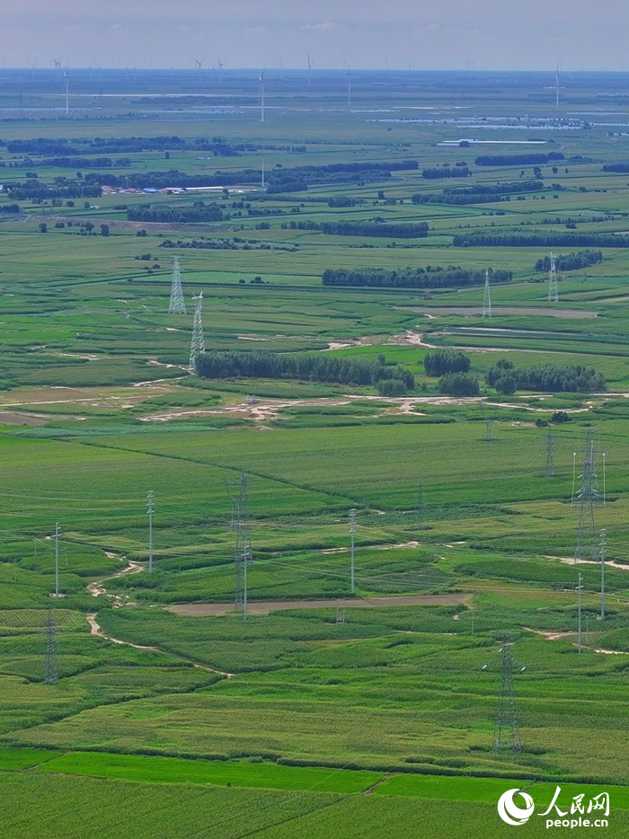 在吉林大安，曾經的“白色荒漠”經過改造變成“魚米之鄉”。人民網記者 李洋攝