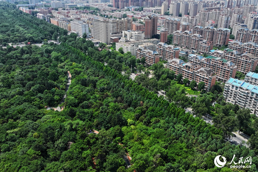 近年來，長春市大力實施生態宜居工程，讓越來越多的群眾享受到家門口的“綠色福利”。人民網記者 李洋攝