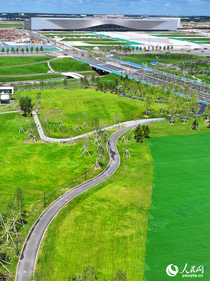 長春國際航空博覽城藍天公園內草坪已鋪設完成。人民網記者 李洋攝
