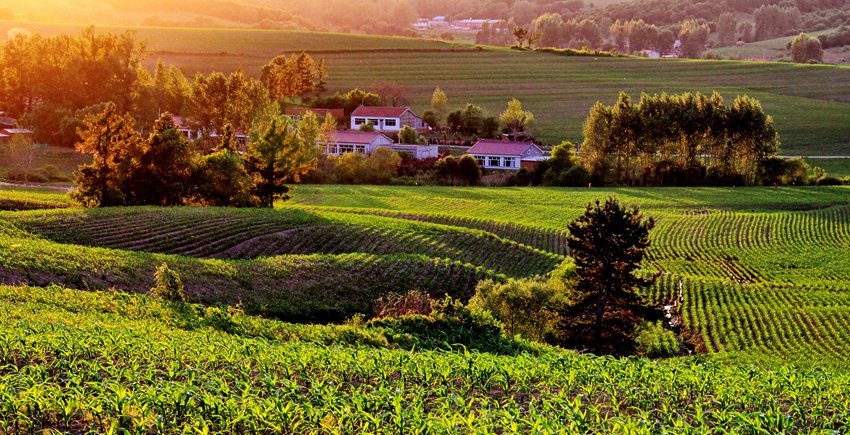 生態優良、環境優美的東部“生態花園”