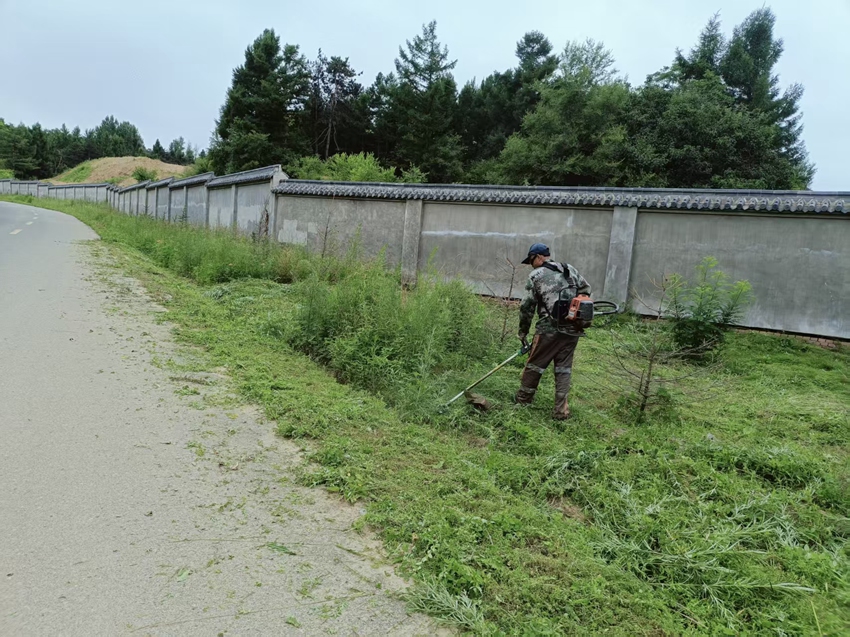 農村人居環境治理