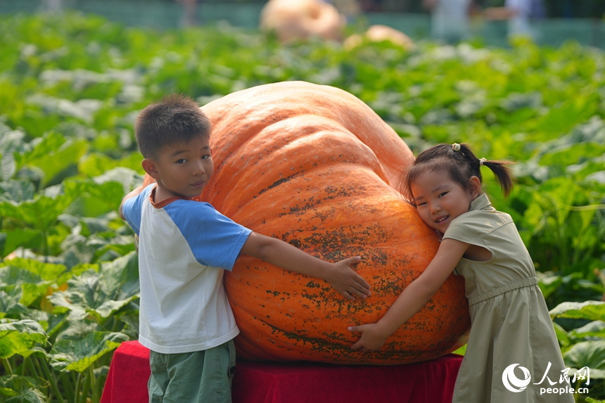 長春農博會上，兩位小朋友與巨型南瓜合影。人民網記者 李洋攝