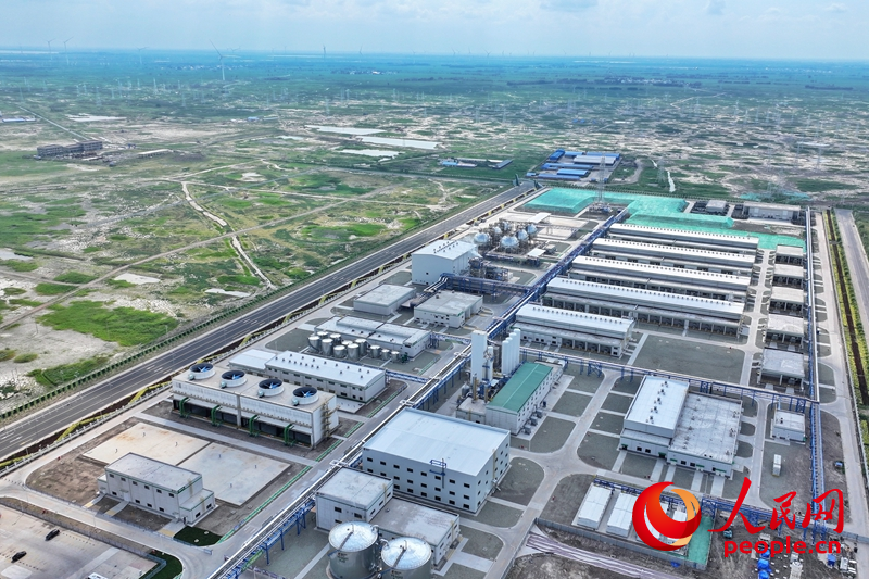 7月26日,吉林大安風光制綠氫合成氨一體化示范項目正式投產。人民網記者 李洋攝
