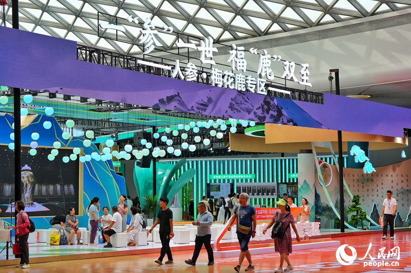 第十五屆中國(guó)—東北亞博覽會(huì)人參·梅花鹿專區(qū)。人民網(wǎng)記者 李洋攝