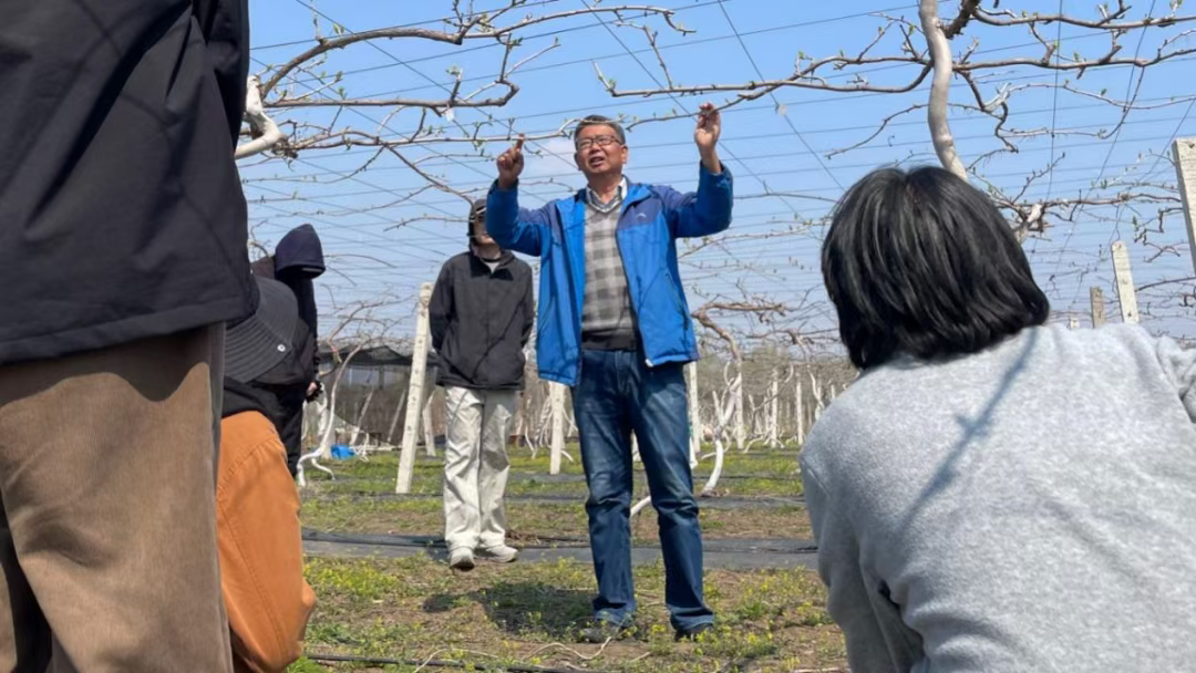 艾軍教授指導(dǎo)學(xué)生栽培實(shí)踐