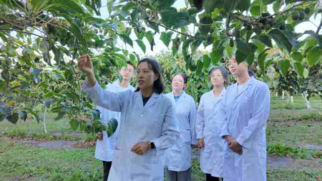 艾軍教授團(tuán)隊(duì)師生