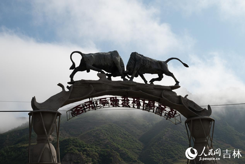 圖們江斗牛場。實習生 王思皓攝