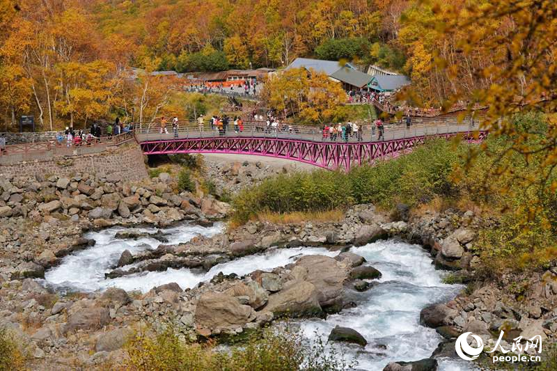 長白山秋日景觀。人民網記者 李洋攝