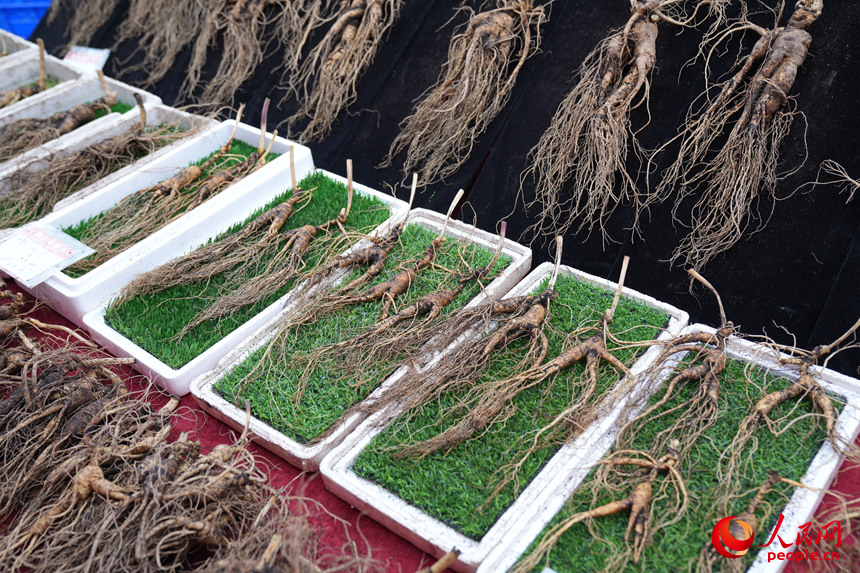 早市上售賣的吉林人參。人民網記者 李洋攝